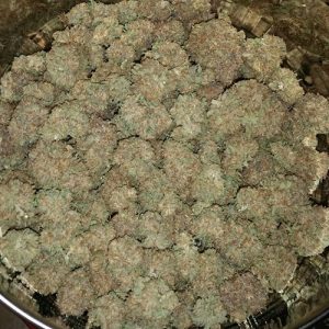 Amherst Sour Diesel Weed