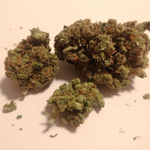 Amnesia Haze Marijuana